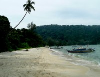 Visit our Monkey Beach Page