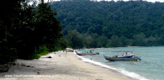 Monkey Beach Penang National Park (Teluk Duyung)