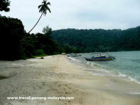 Pdf Ancaman Dan Cabaran Dalam Pembangunan Lestari Taman Negara Di Pulau Pinang
