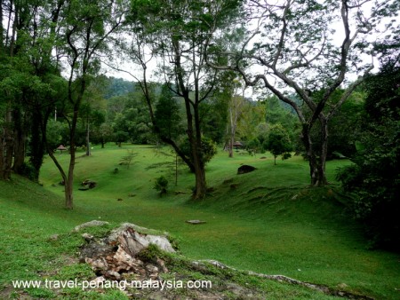 Kebun bunga penang