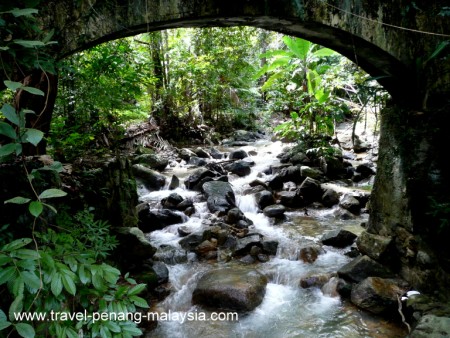 Penang Botanic Gardens Taman Botani Pulau Pinang