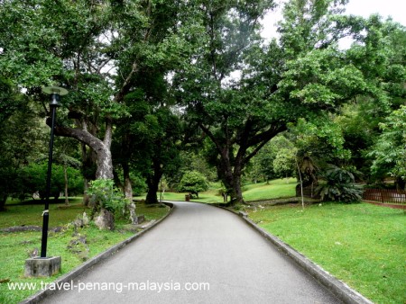 Penang Botanical Gardens Photos