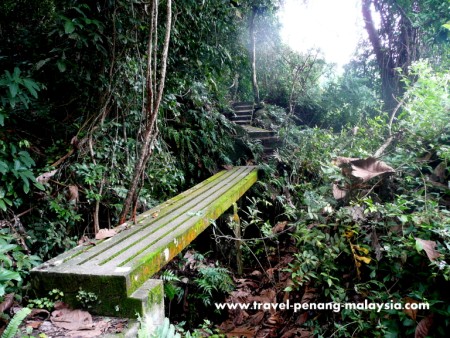 Penang National Park - Taman Negara Pulau Pinang Malaysia