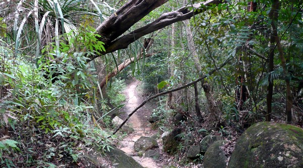 The Penang National Park >